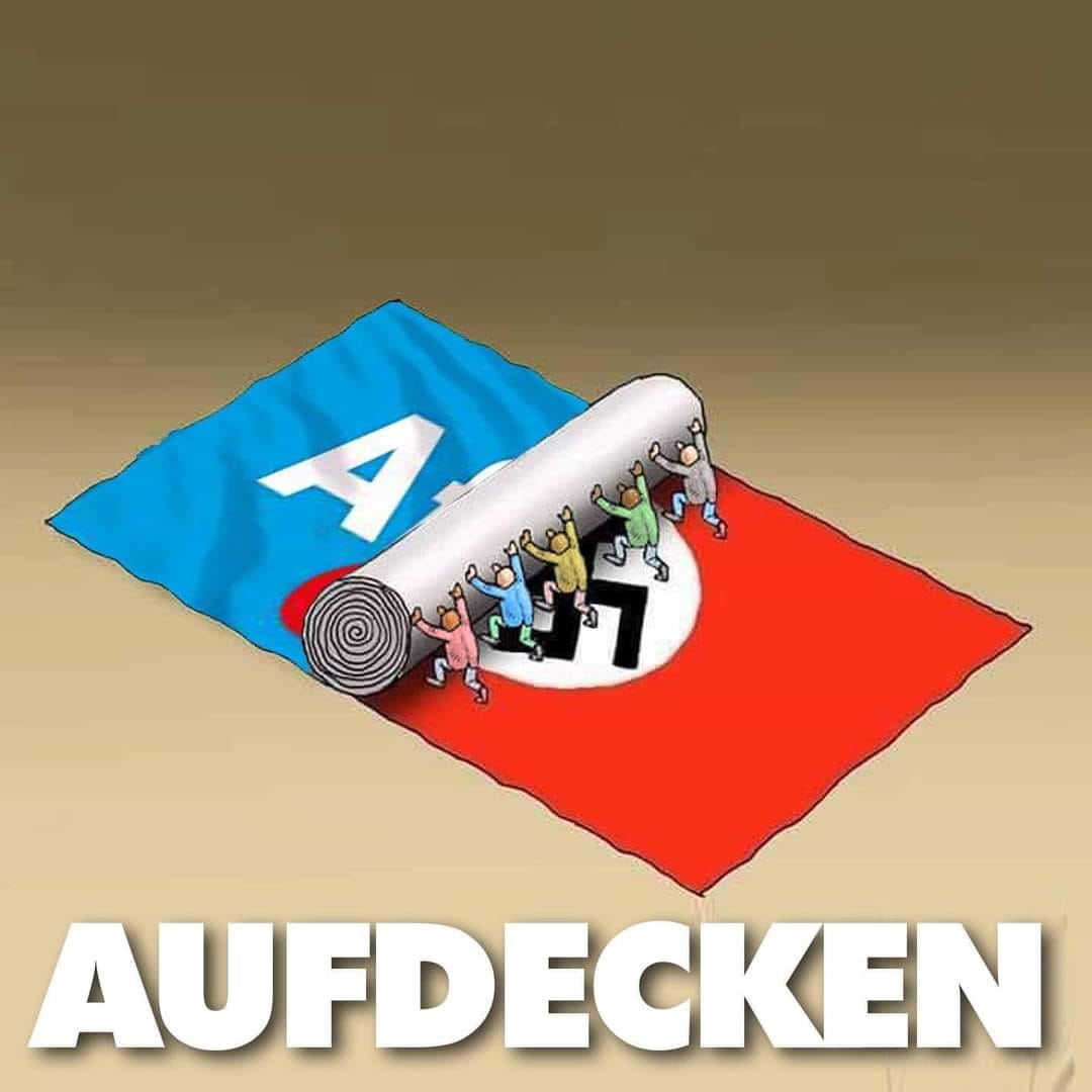 AFD - aufdecken!